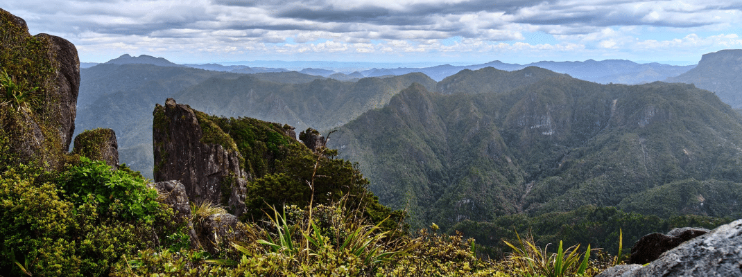 Coromandel Forest Park, New Zealand - View of Standing Rockface and Landscape From The Pinnacles