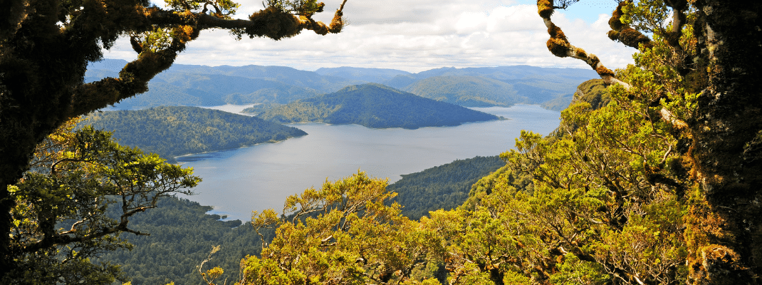 Viewpoint on Lake Waikaremoana Great Walk, New Zealand