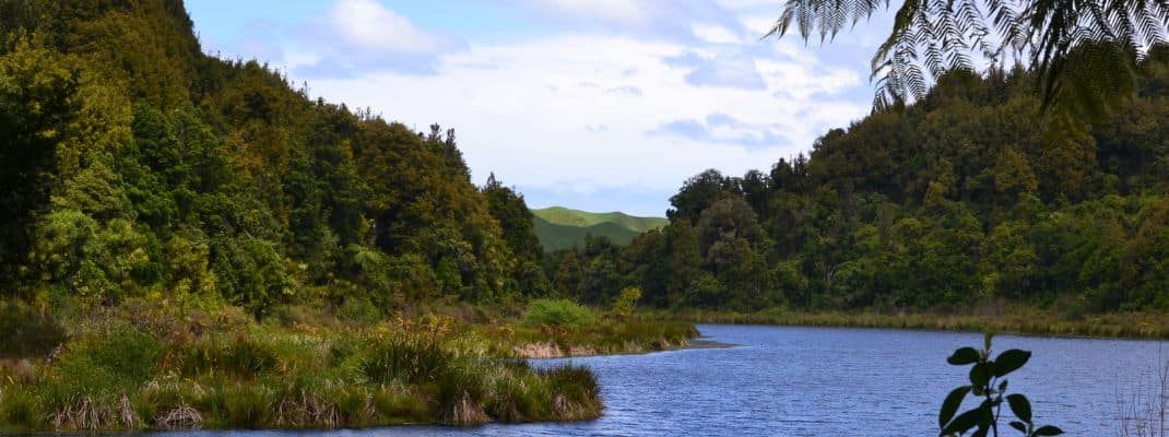 Lake Rotokare Scenic Reserve