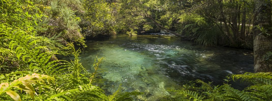 Wakapuaka Reserve Carpark