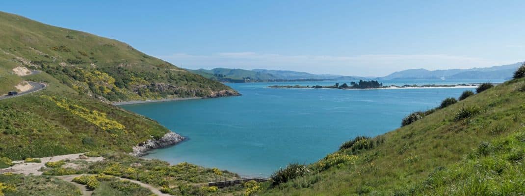 Aramoana Beach