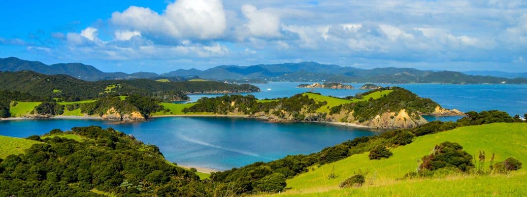 Freedom Camping Paihia