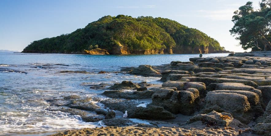 Goat Island Marine Reserve