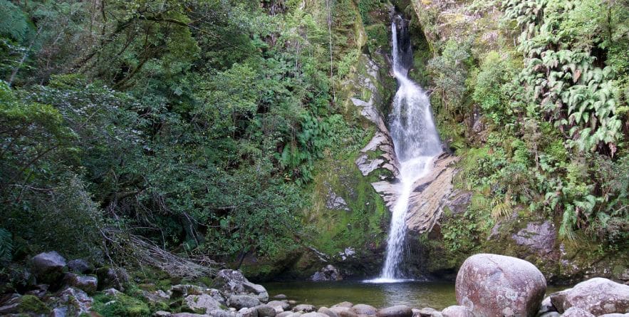 Dorothy Falls and Lake Kaniere