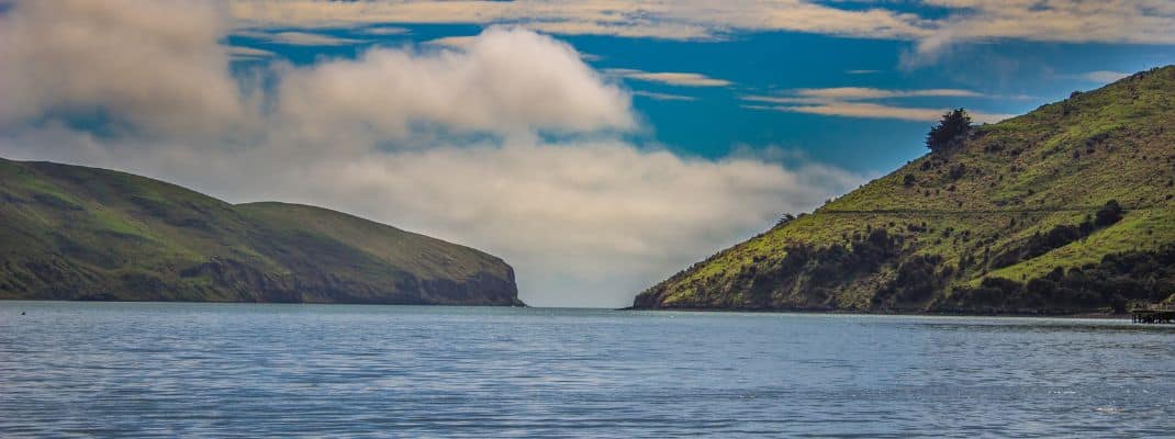 Okains Bay Campground